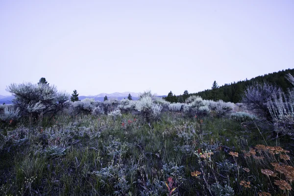 Colorado landskap på morgonen. — Stockfoto