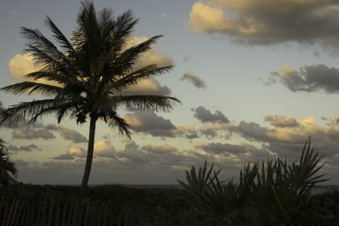 Günbatımı Delray Beach
