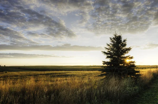 Sunrise Iowa — Stok fotoğraf