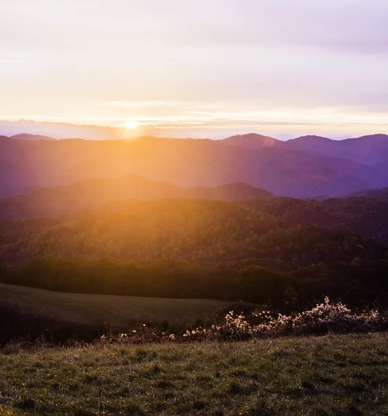 Nascer do sol sobre as Montanhas Blue Ridge — Fotografia de Stock