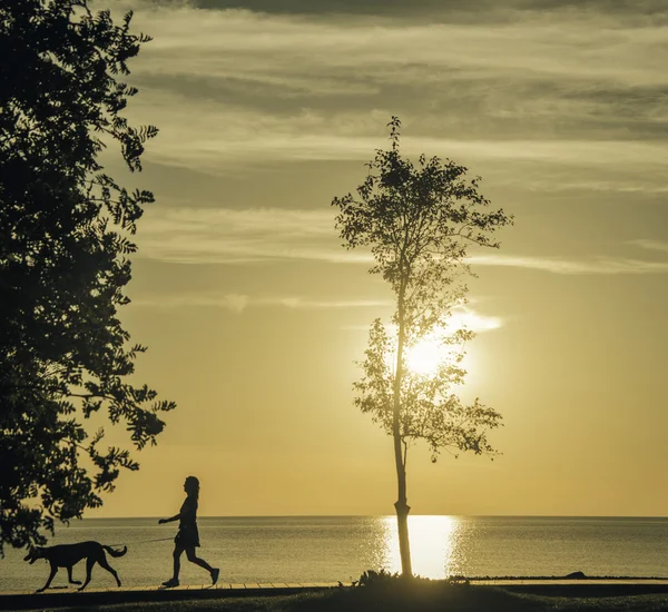 Caminhando o cão — Fotografia de Stock