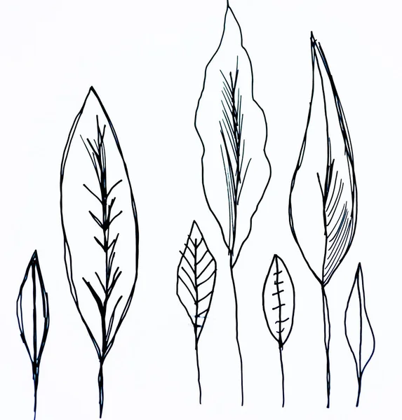 Leaf Illustration Great Use Element Your Design — Stock Photo, Image