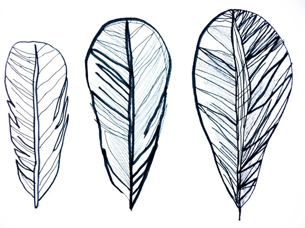 Leaf Illustration Great Use Element Your Design — Stock Photo, Image