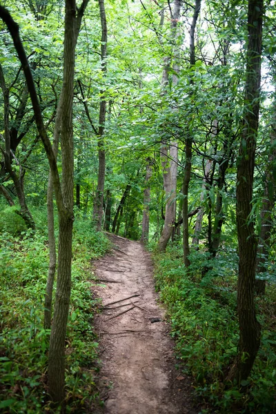 Nature Trail Louisville Kentucky — Stock Photo, Image