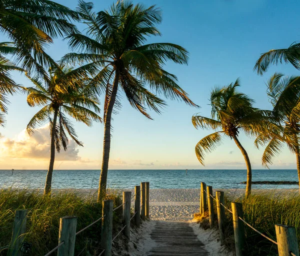 Wschód Słońca Key West Plaży Smathers Zdjęcia Stockowe bez tantiem