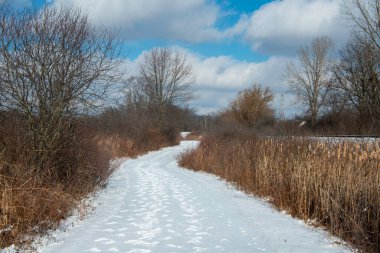 Ohio 'da Doğa Yolu Mavi Gök ile Kış Boyunca