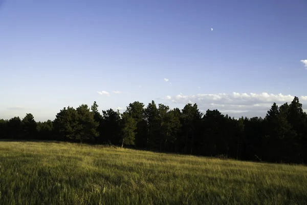 Wyoming Paesaggio in estate — Foto Stock