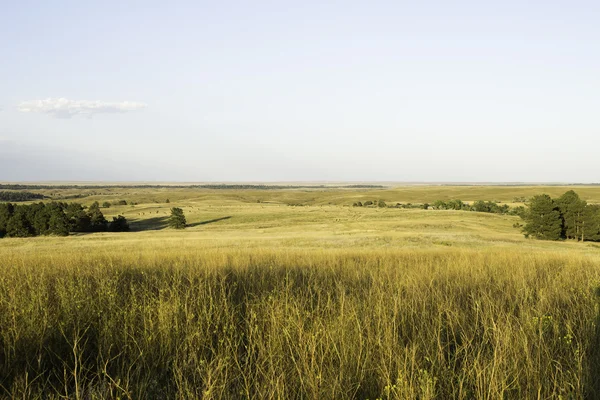 Wyoming landskap i sommar — Stockfoto