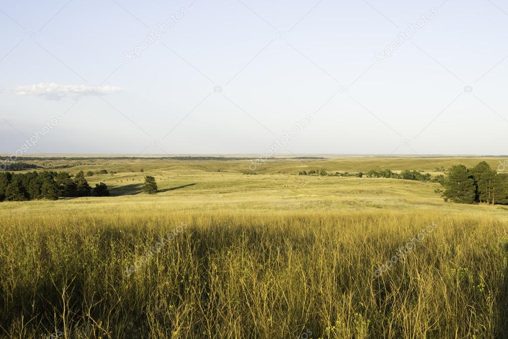 Wyoming Landscape in the Summer