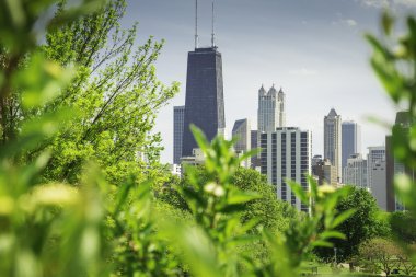 View of Chicago from Lincoln Park clipart