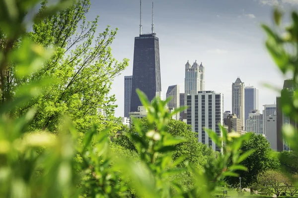 Vista de Chicago a partir de Lincoln Park — Fotografia de Stock