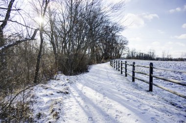 Ohio 'da Kış Boyunca Doğa Yolu