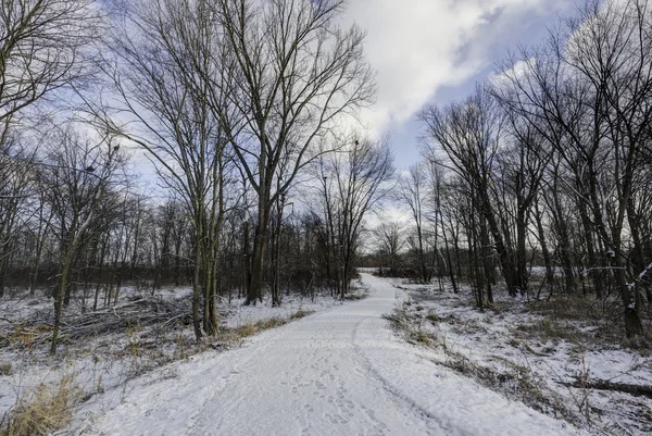 Naturlehrpfad in Ohio im Winter — Stockfoto