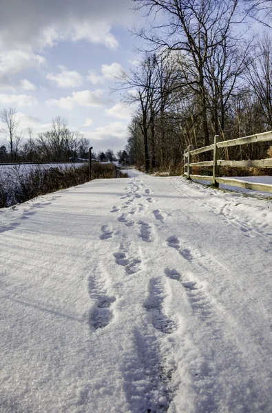 Sentiero della natura in Ohio — Foto Stock