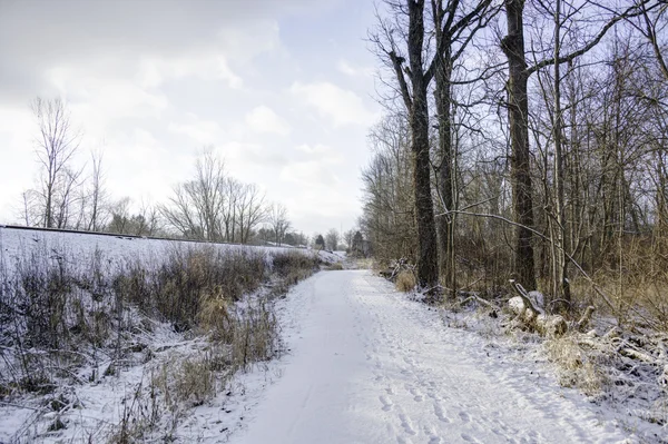 Naturlehrpfad in Ohio im Winter — Stockfoto