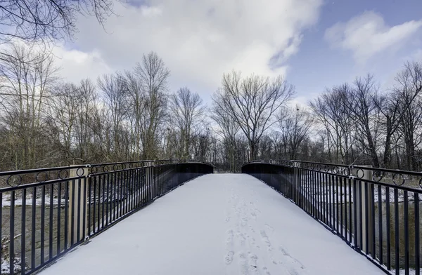俄亥俄州冬季自然小径 — 图库照片