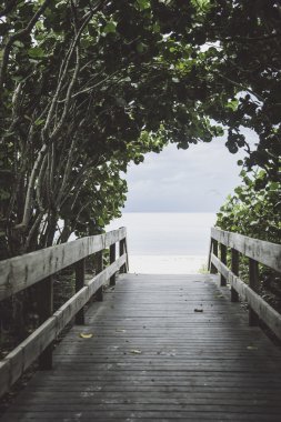 Bonita Springs Beach