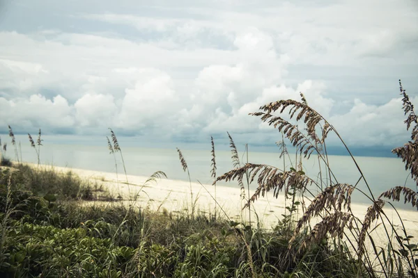 Bonita Springs Beach — Zdjęcie stockowe