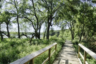 Iowa Nature Trail in the Summer clipart