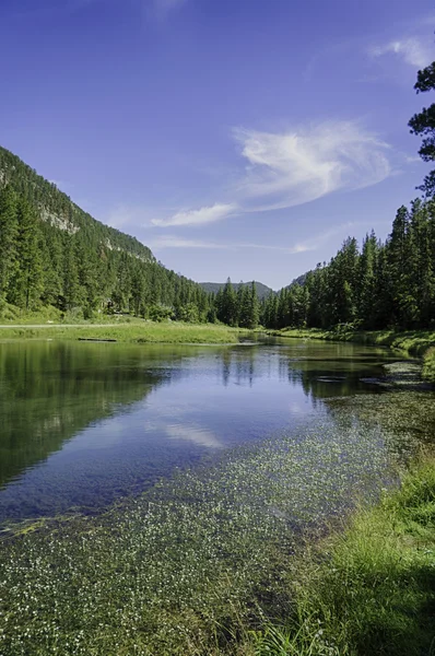 Spearfish Canyon Dél-Dakota — Stock Fotó