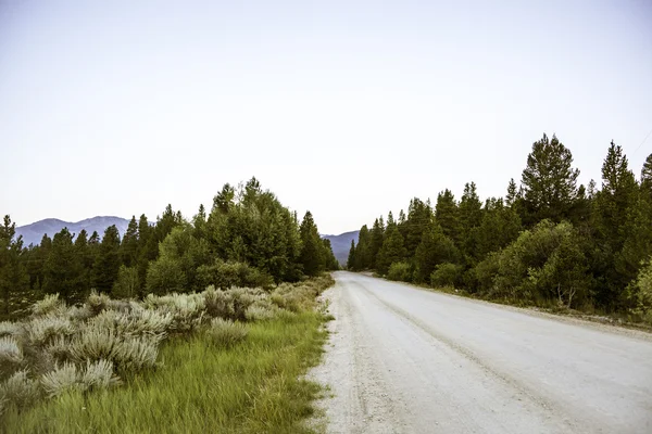 Matin dans les montagnes Rocheuses — Photo