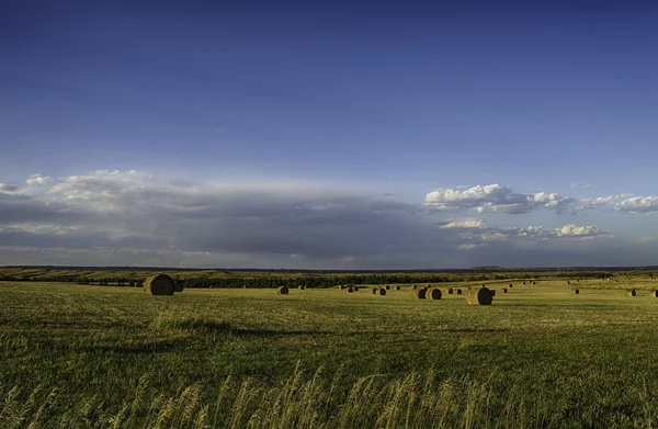 Wyoming tájon a nyár. — Stock Fotó