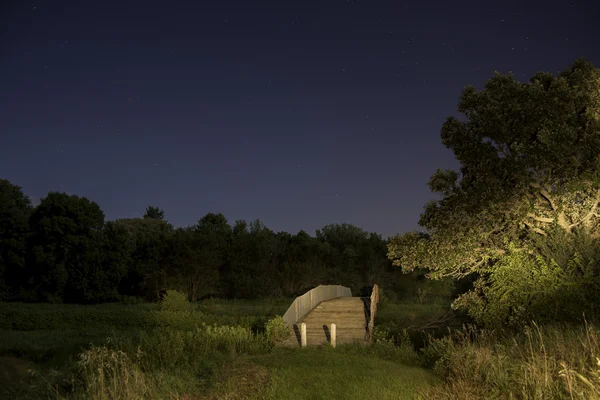 Природная тропа ночью — стоковое фото