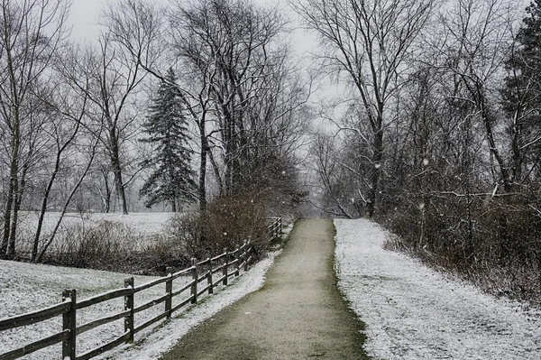 Sentier de la nature en Ohio — Photo