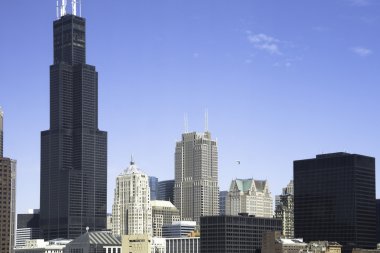 Chicago mimarisi, çeşitli