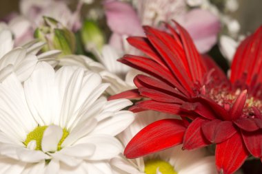 Dekoratif çiçek buketi