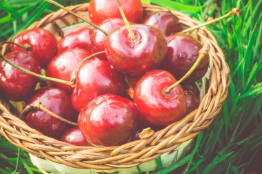 Çim Retro üzerinde kırmızı kiraz