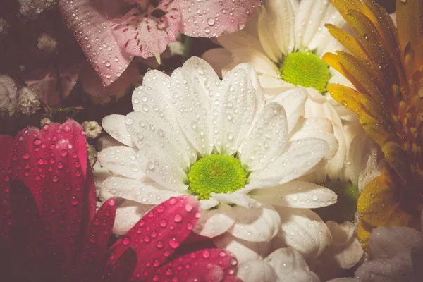 Decorative Flowers Bouquet Retro — Stock Photo, Image