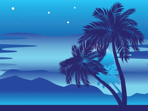 Palmera por la noche — Archivo Imágenes Vectoriales