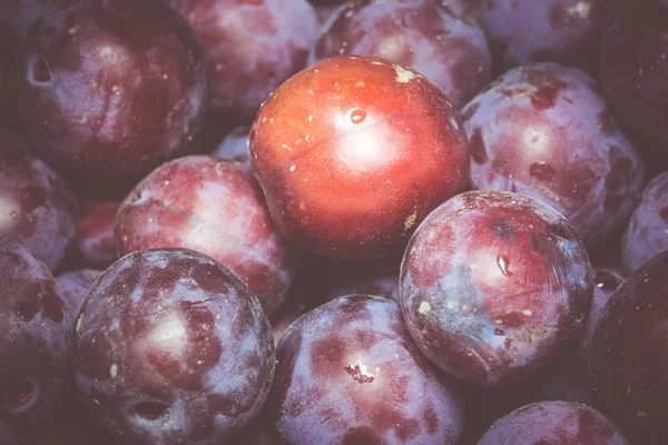 Čerstvé švestky makro — Stock fotografie