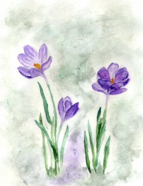 Çiğdem çiçek boyama