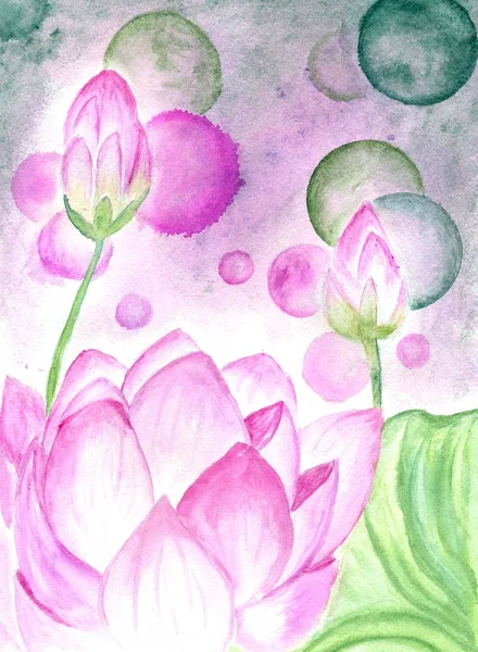 Lotus Flower akvarel — Stock fotografie