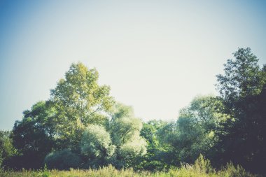 Filtre yaz kırsal manzara