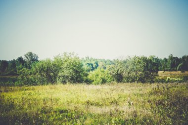 Filtre yaz kırsal manzara