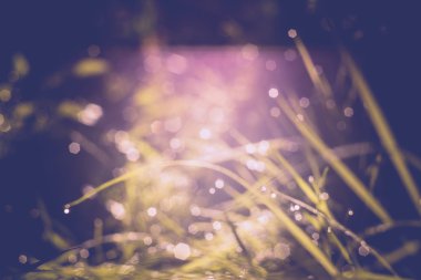 Sabah çim makro Retro