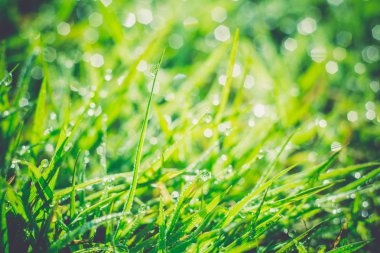 Sabah çim makro Retro