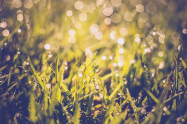 Sabah çim makro Retro