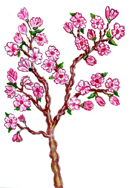 Sakura Branch Pintura — Fotografia de Stock