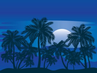 Geceleri palmiye ağacı