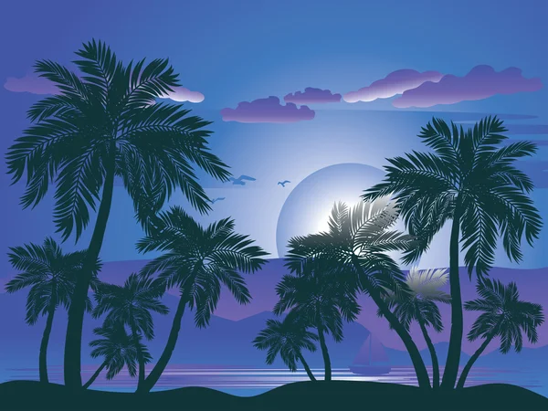 Palmera por la noche — Vector de stock