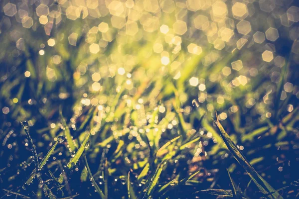 Sabah çim makro Retro