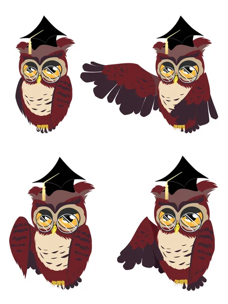 Brown Wise Owl — Stock Vector