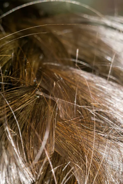 Πλεκτά μαλλιά μακροεντολής — Φωτογραφία Αρχείου
