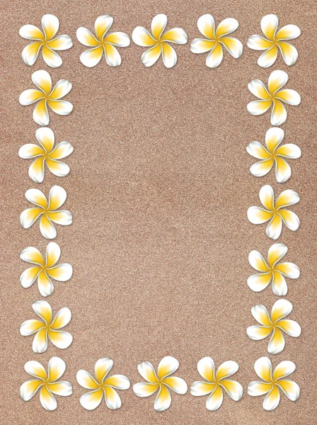 Plumeria rám na písku — Stock fotografie