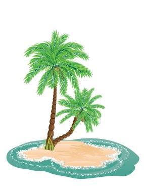 adadaki palmiye ağacı