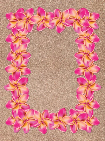 Plumeria Frame on Sand — Stock Photo, Image